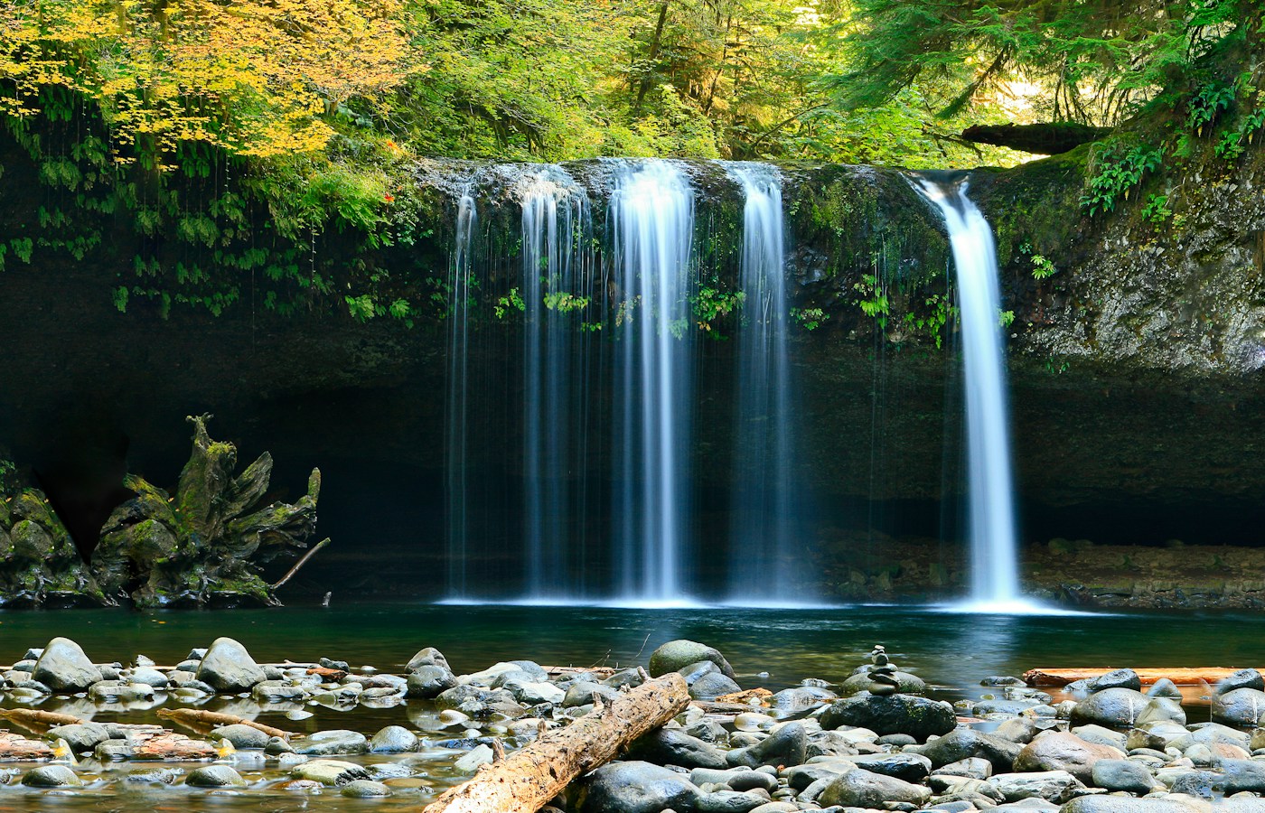 Waterfall and nature Dominica Caribbean
