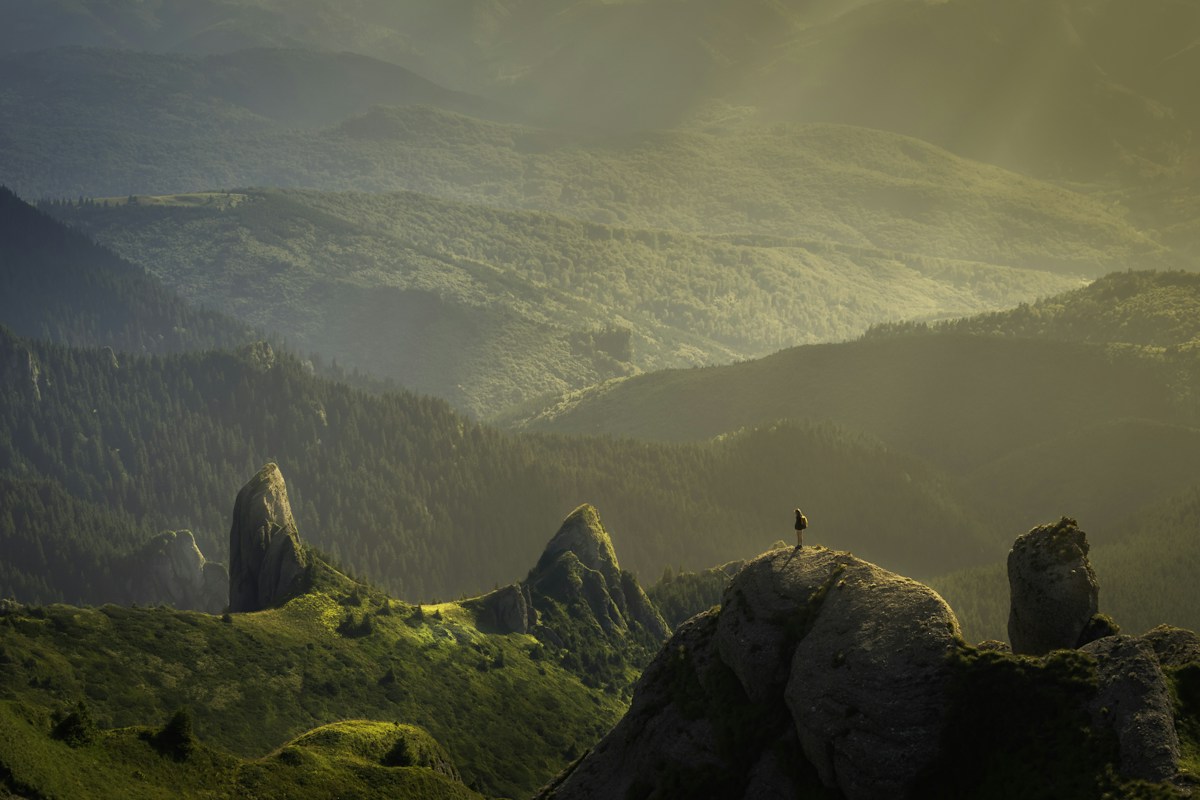 Dominica nature landscape from UK journey